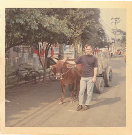 Bennie and cow